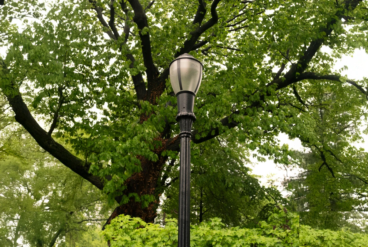 Luxury Houses for Sale in Coconut Grove, Miami A Tropical Paradise