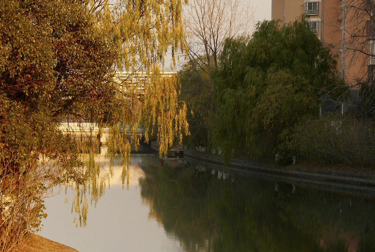 Waterfront Home Remodeling in Harbor Village Coastal-Ready Renovations for Luxury Living